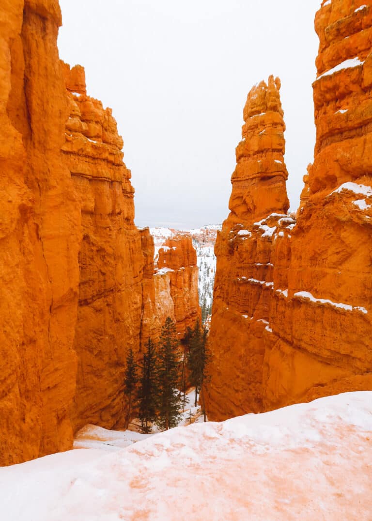 Narrow orange canyon walls rising above a snow-covered trail.