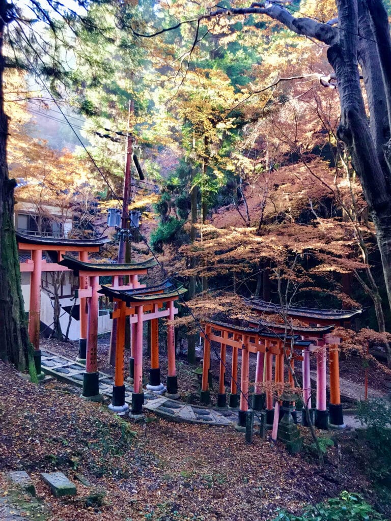 Orange Torii gates on Mt Inari following a secluded stone path down the mountain, in the height of autumn.