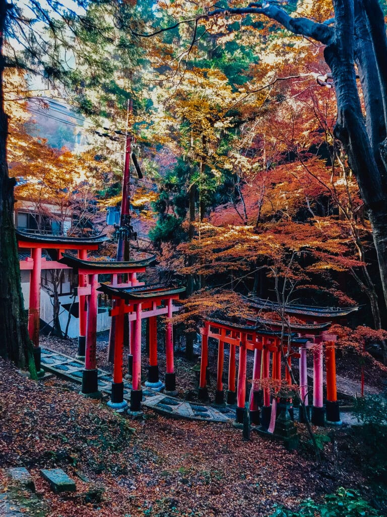 Classic vermilion torii gate tunnel perspective on the Mount Inari hiking trail, Kyoto