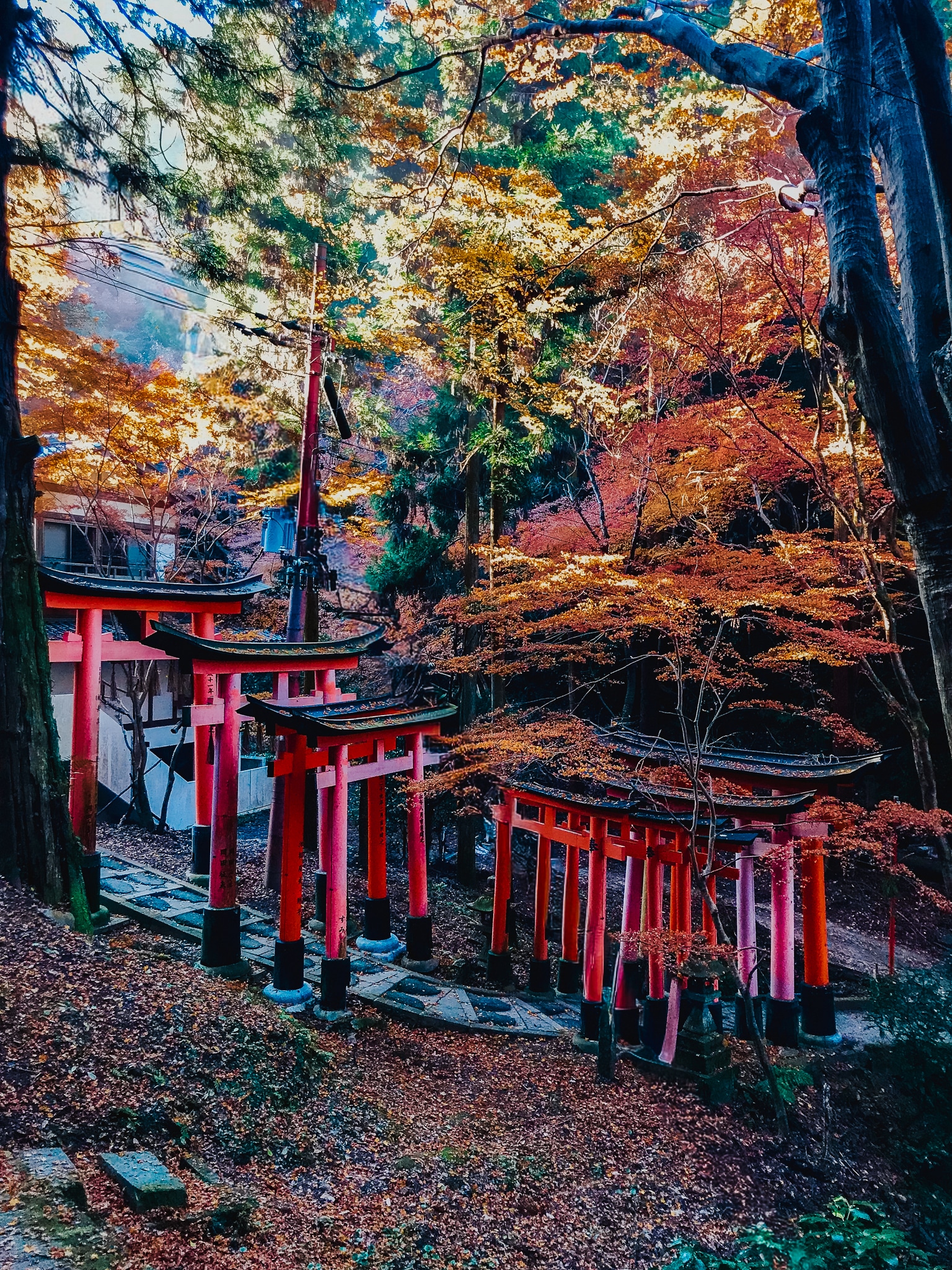 Mount Inari Background Fushimi Inari Shrine | Mount Inari Hiking Trail Guide & Tips