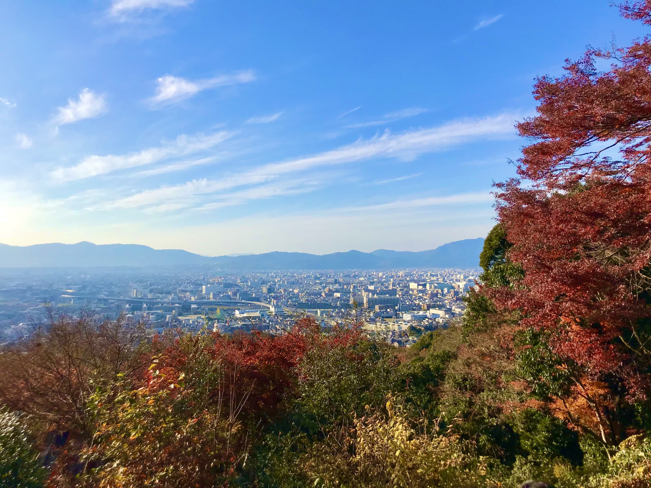 The viewpoint over the city of Kyoto from midway up Mt. Inari.