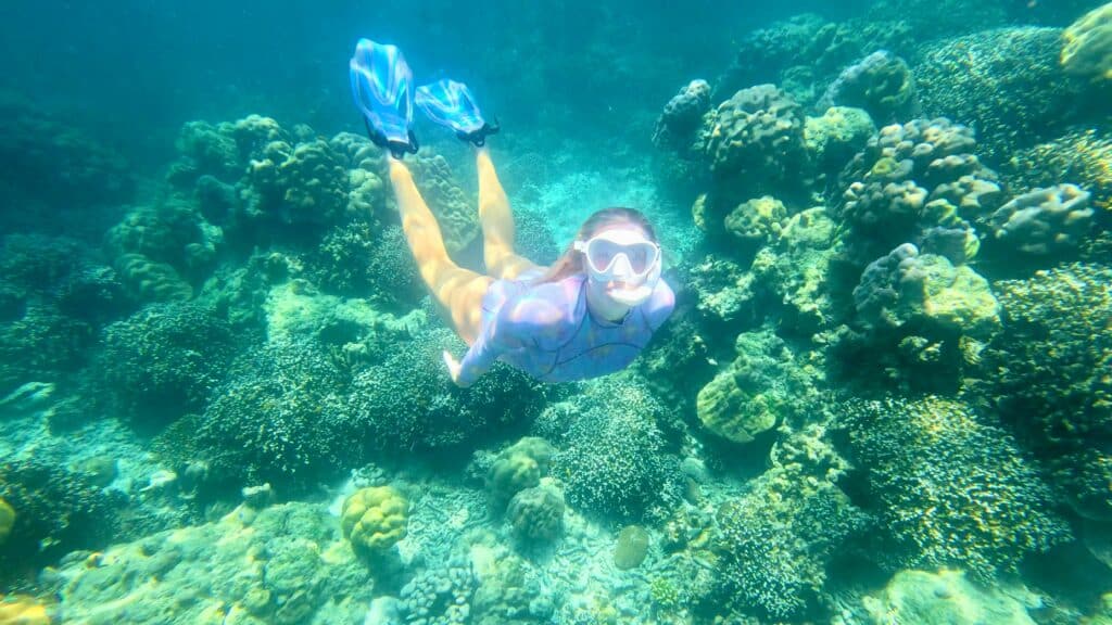 Rich marine life at Bon Bay, Surin Islands