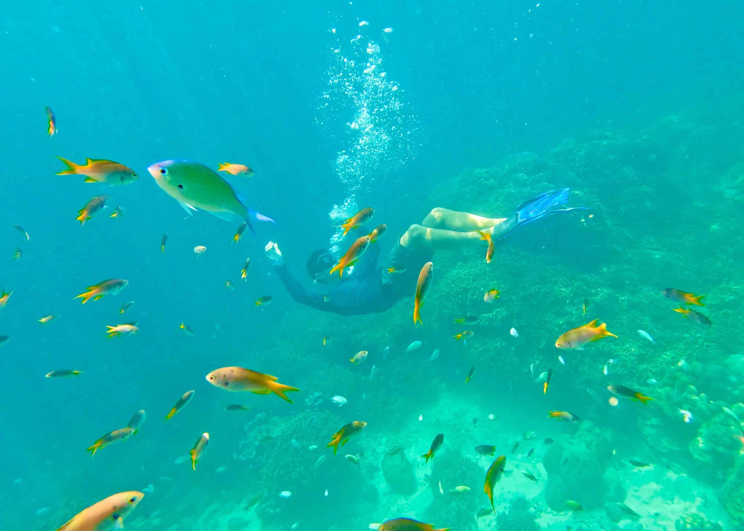 Sinking to the ocean floor in the Surin Islands