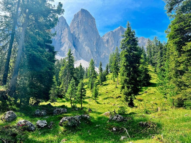 Views along the trail of the Adolf Munkel Trail