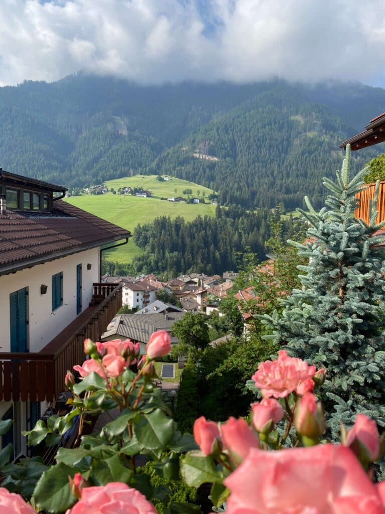 Alpine chalets in Ortisei, South Tyrol