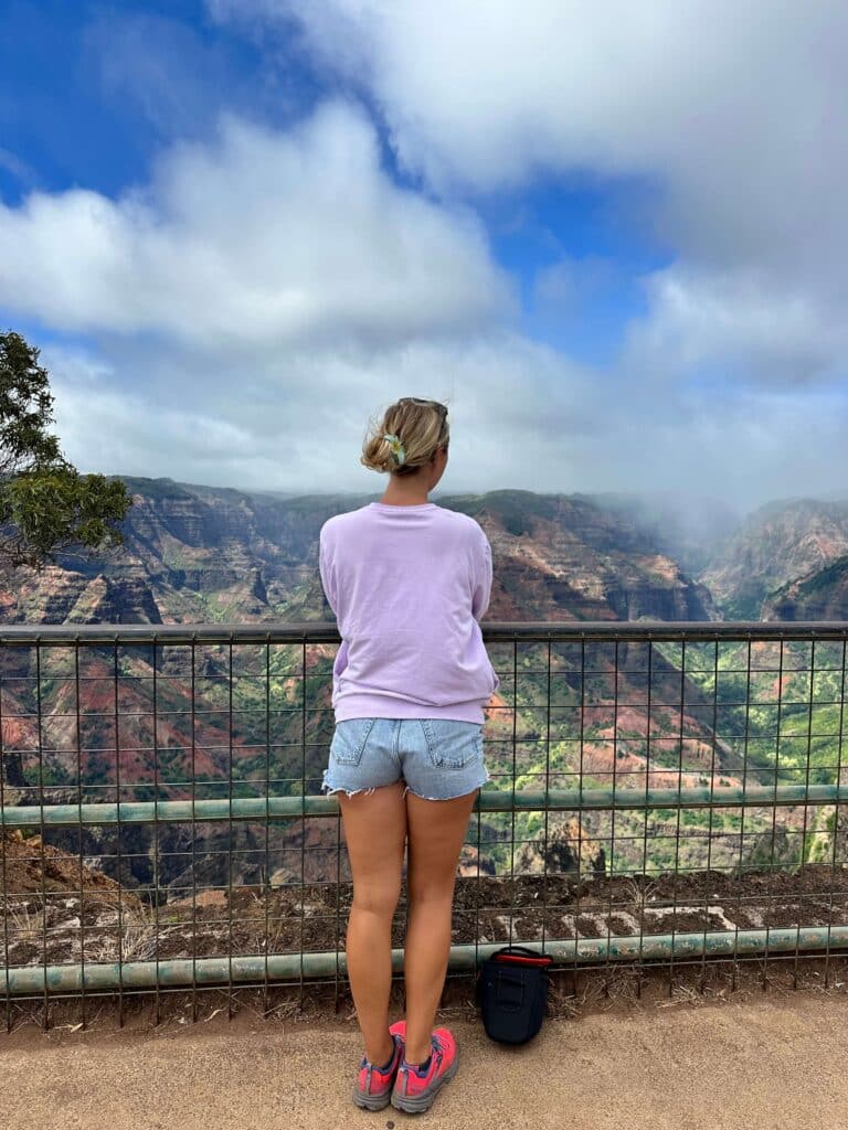The Waimea Canyon Viewpoint