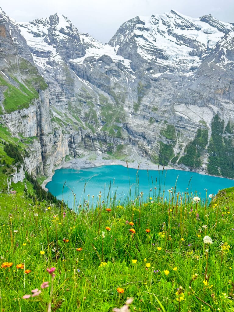 Carpet of colourful alpine wildflowers — orange, yellow, white, and pink — with Oeschinensee lake and peaks behind
