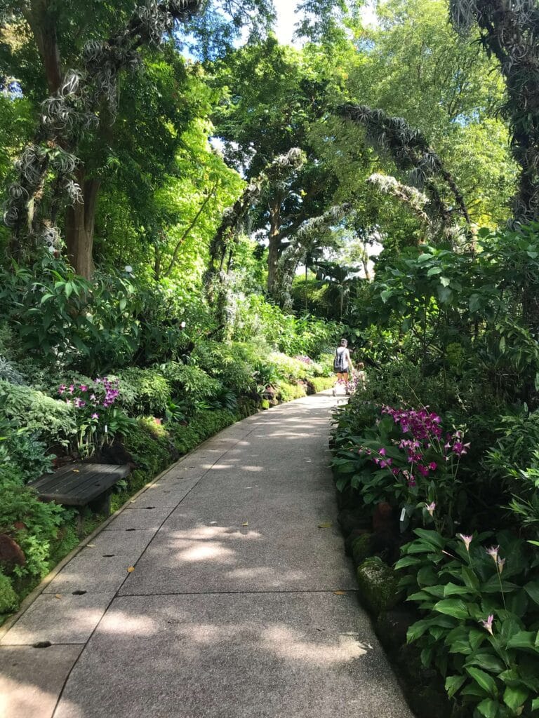 Silver Arches at the Singapore National Botanic Garden