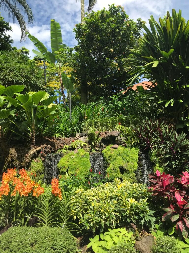 Perfectly landscaped flower beds with mini waterfalls at the Singapore National Botanic Garden