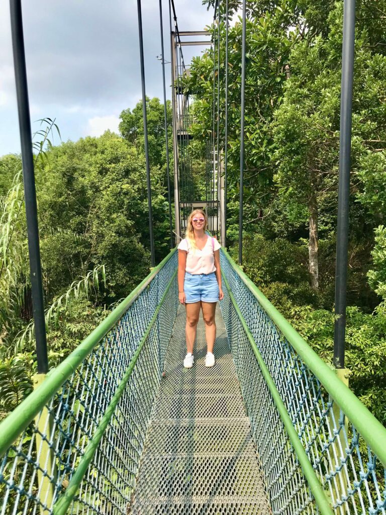 The TreeTop Walk Suspension Bridge in Singapore