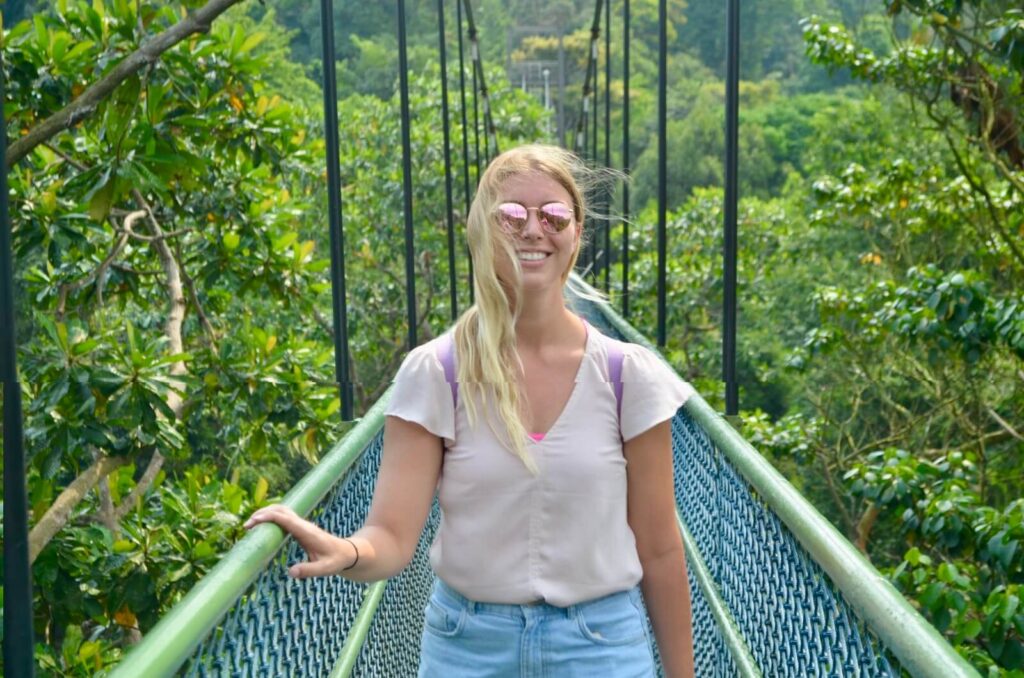 The TreeTop Walk Suspension Bridge, Singapore