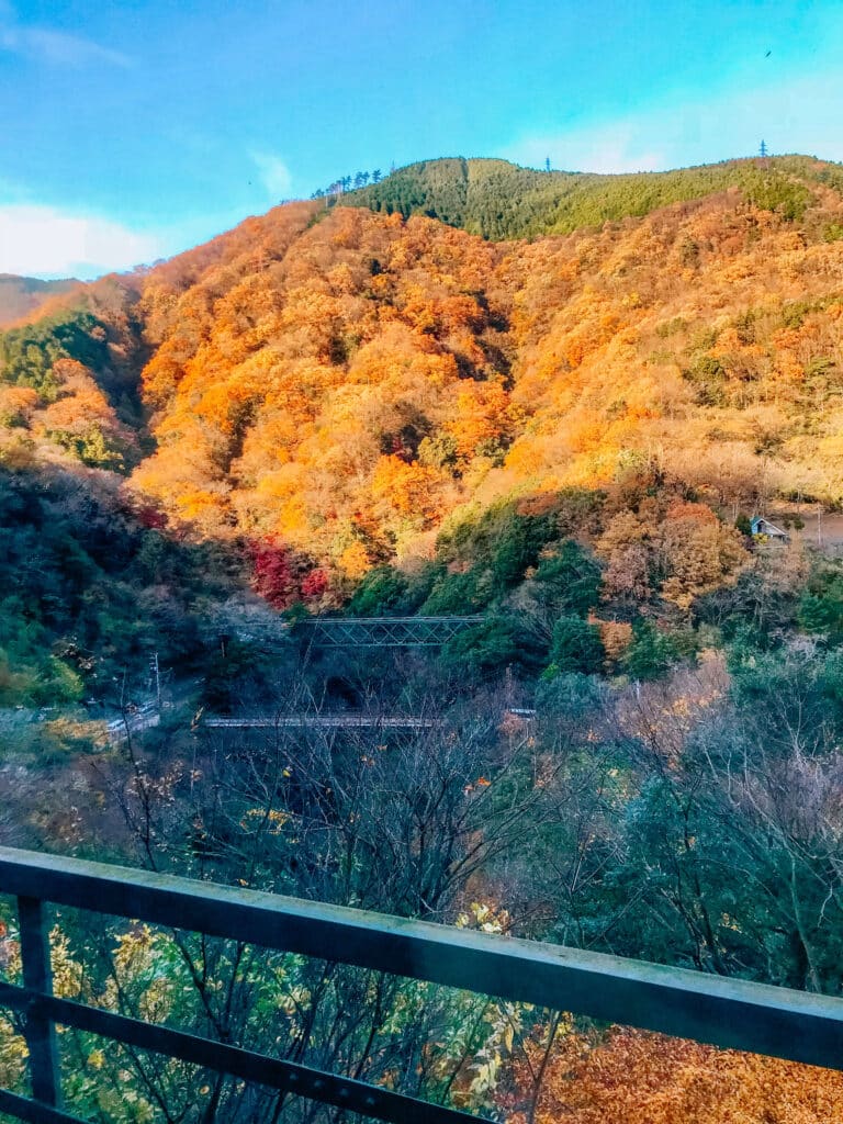 The mountains around Hakone in the height of autumn.
