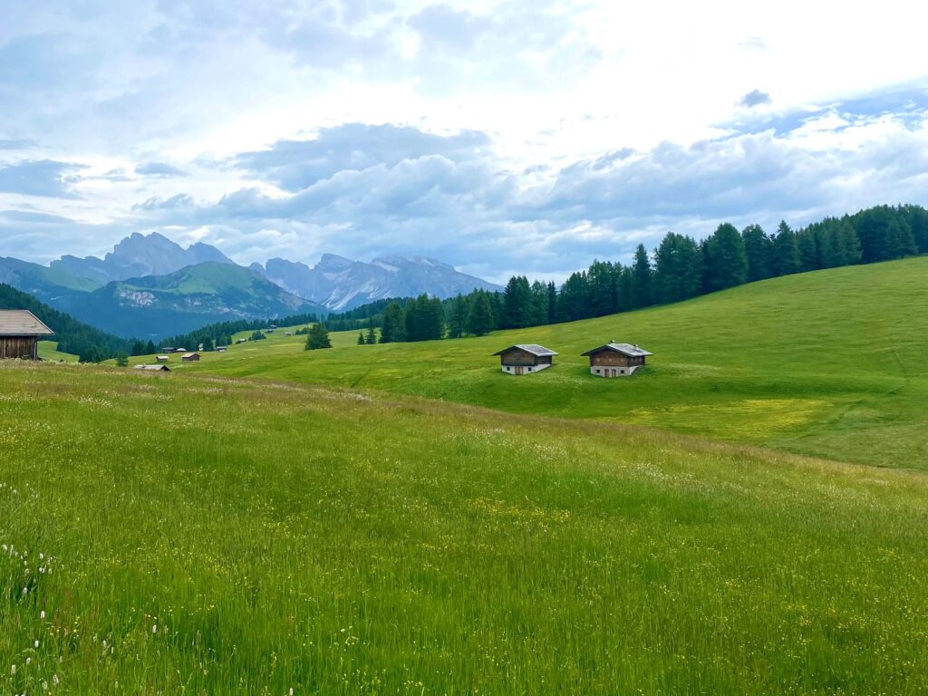 Alpe di Siusi, Dolomites, Italy
