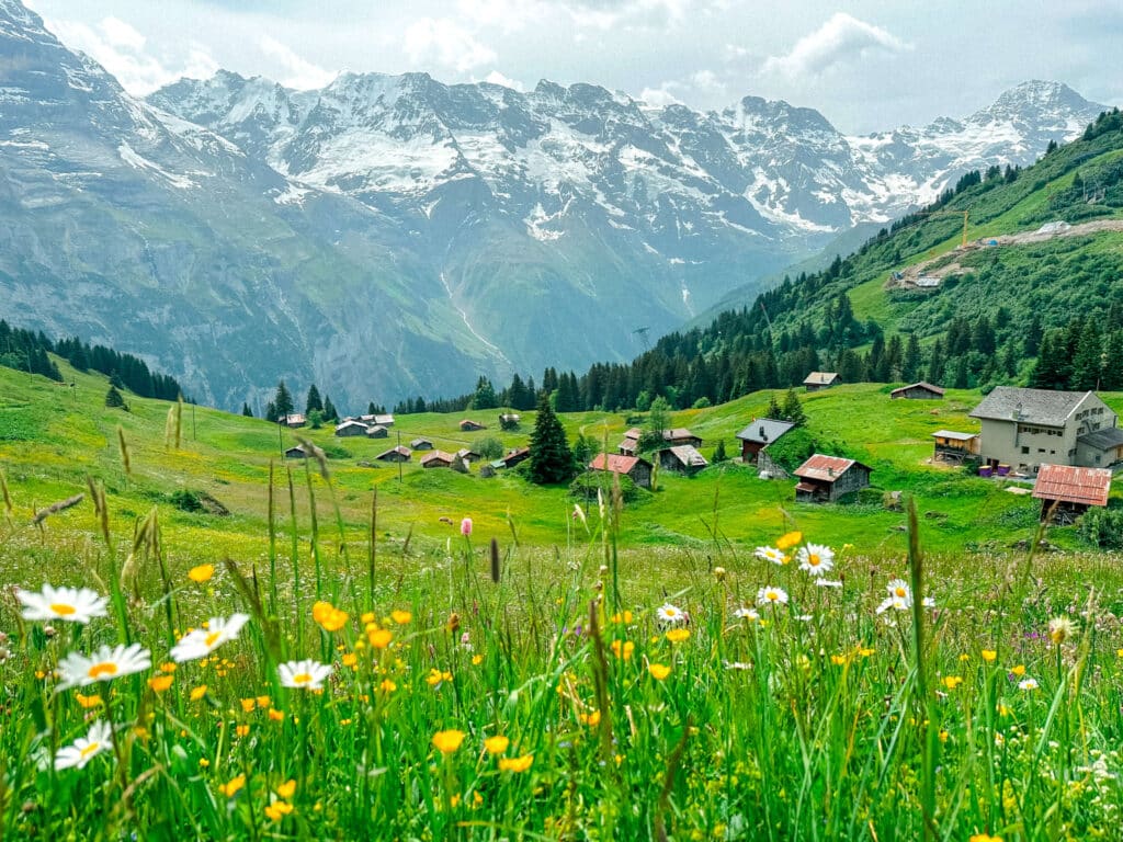 Pastoral views of wildflowers and mountain huts along the North Face Trail in Murren, Switzerland
