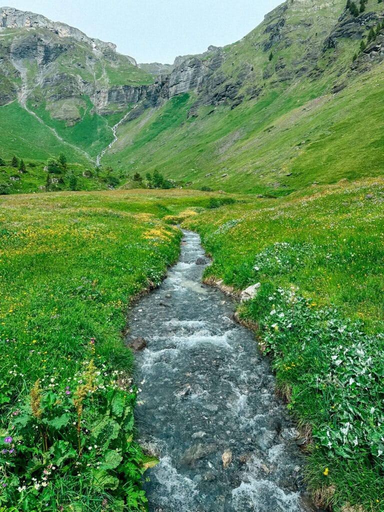 Mountain streams along the North Face Trail in Murren, Switzerland