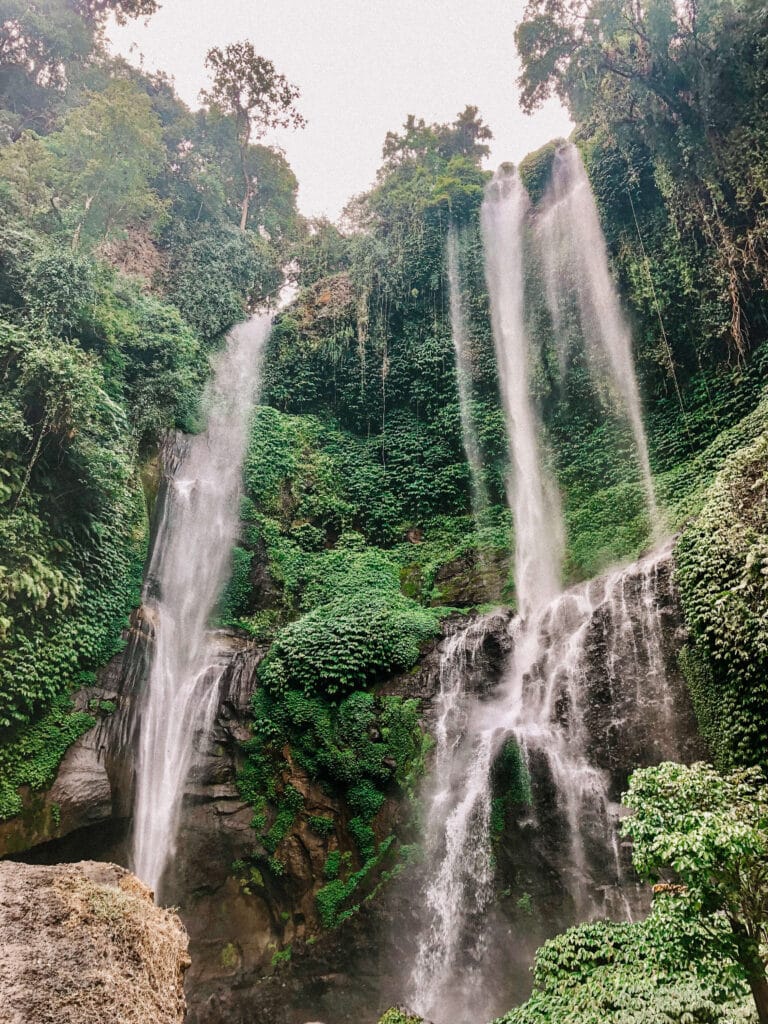 Close-up of Sekumpul’s cascading waterfalls flowing down a mossy cliffside surrounded by lush green foliage.
