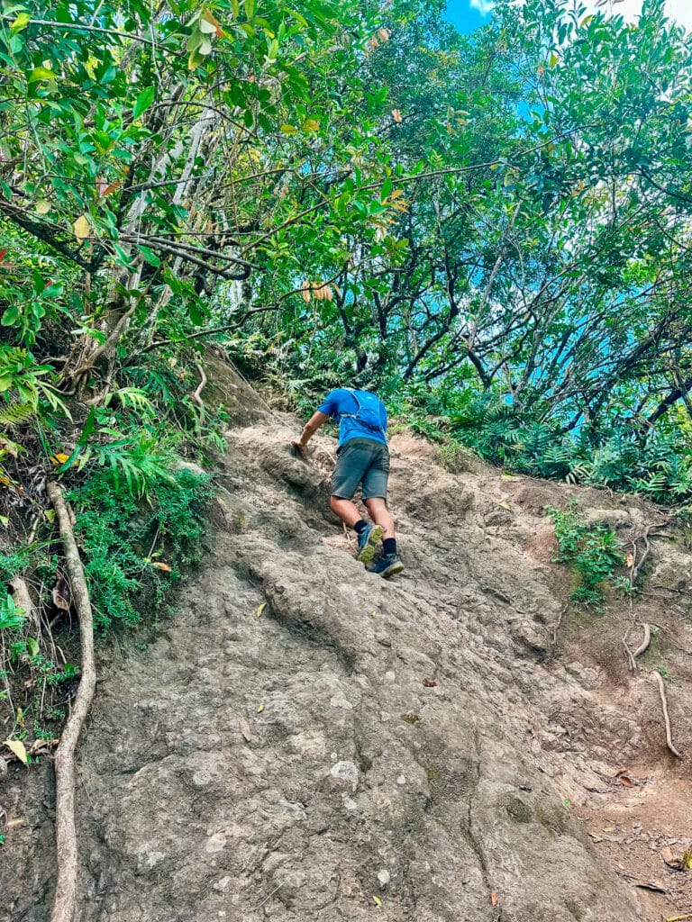 Recent erosion has created even more rock scramble sections along the Olomana Trail.