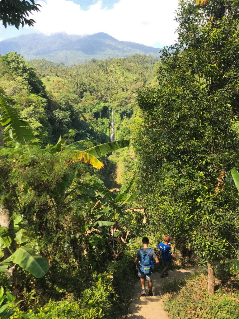 The paved path along the hike to Sekumpul Waterfall in Bali