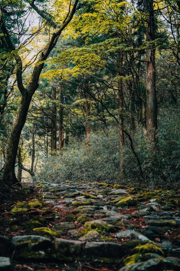 Old Tokaido Road