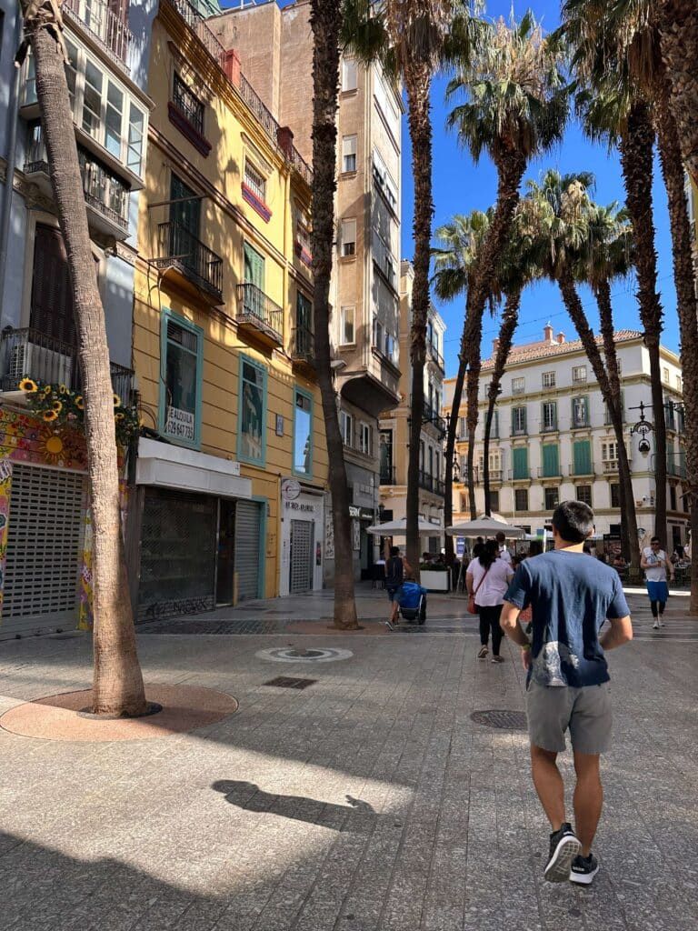 People walking down a narrow street in Málaga’s historic center lined with palm trees.