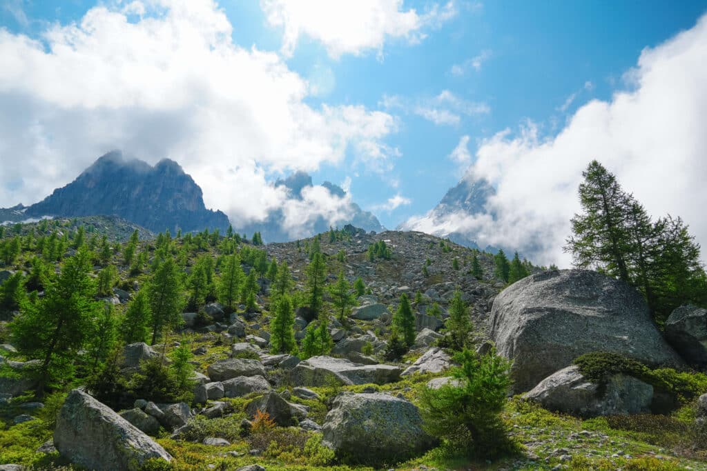 Alpine meadow with scattered boulders and larches under a vibrant blue sky near Grand Balcon Nord.