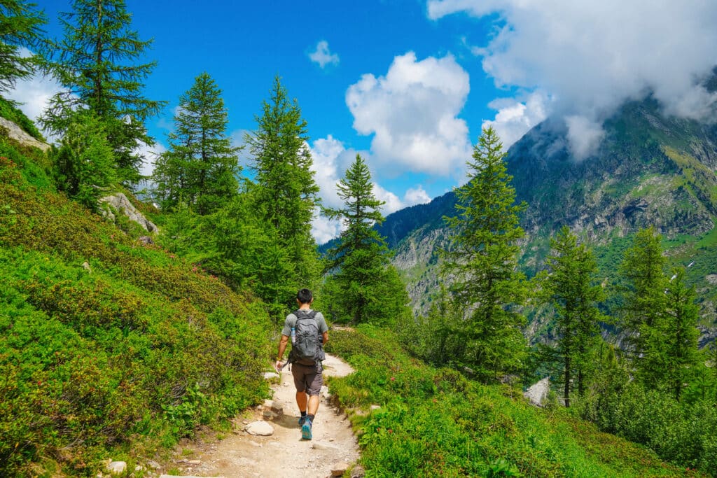 Hiker walking along a sunlit forest path surrounded by lush greenery and alpine trees near Montenvers.