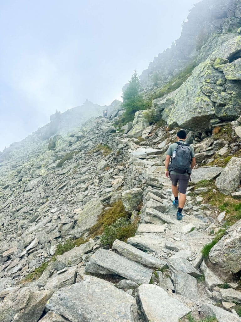 Hiker climbing stone steps on a steep section of Grand Balcon Nord through light fog and green slopes.