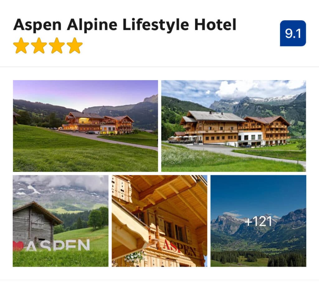 Hotel Aspen – (Luxury $$$)

A luxurious mountain hideaway above Grindelwald, Hotel Aspen combines modern design with classic chalet warmth. With spa facilities, panoramic views, and a quiet setting just outside the village, it’s a great pick for those who want alpine pampering without the crowds.