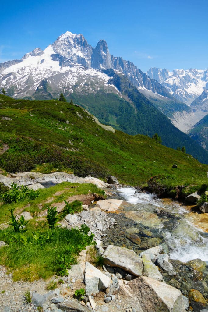 Alpine meadow and waterfall with Mont Blanc in the background, dotted with flowers