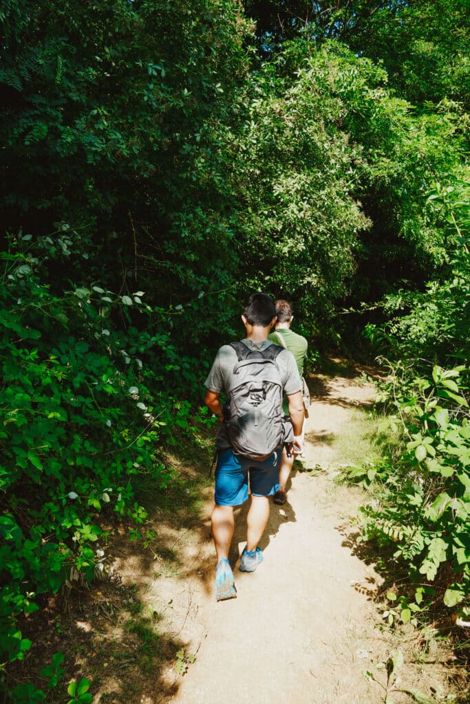A tourist following a truffle guide walking along a shaded forest trail on a sunny day