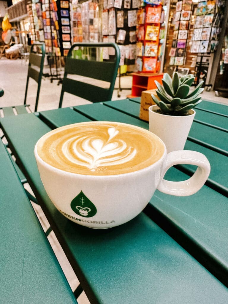 Cappuccino with delicate latte art in a Green Gorilla-branded mug, placed on a green table with a tiny succulent and mall kiosk backdrop in Chamonix.
