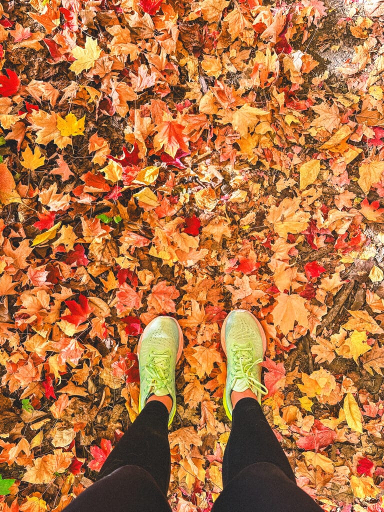 Overhead view of yellow leaves on the ground with a pair of feet in green shoes standing on them.