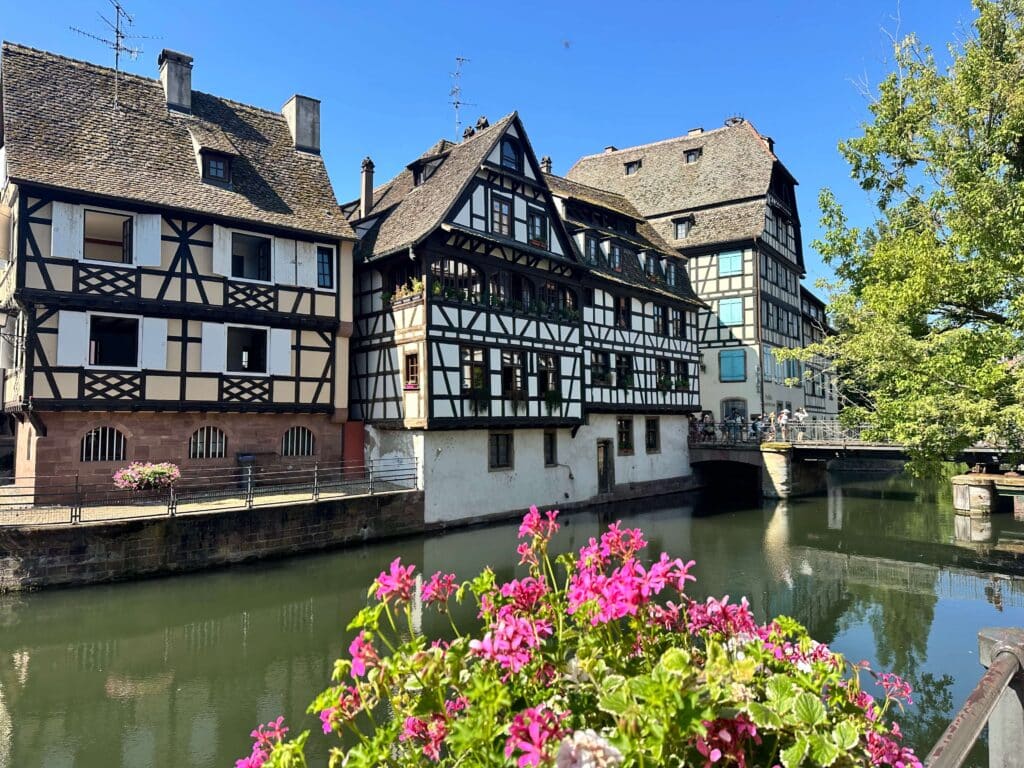 Half-timbered buildings along a canal in Strasbourg, with pink flowers in the foreground.