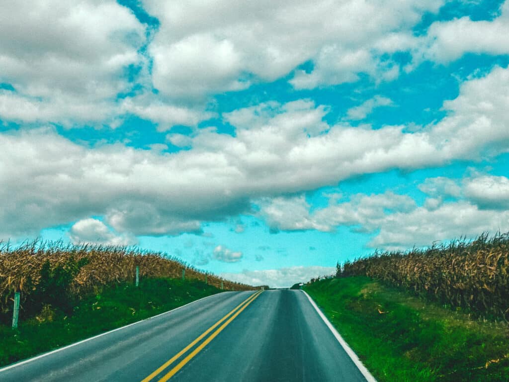 A country road flanked by corn fields on either side