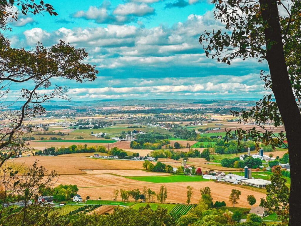Similar farmland overlook with more open sky and tree branches framing the view.