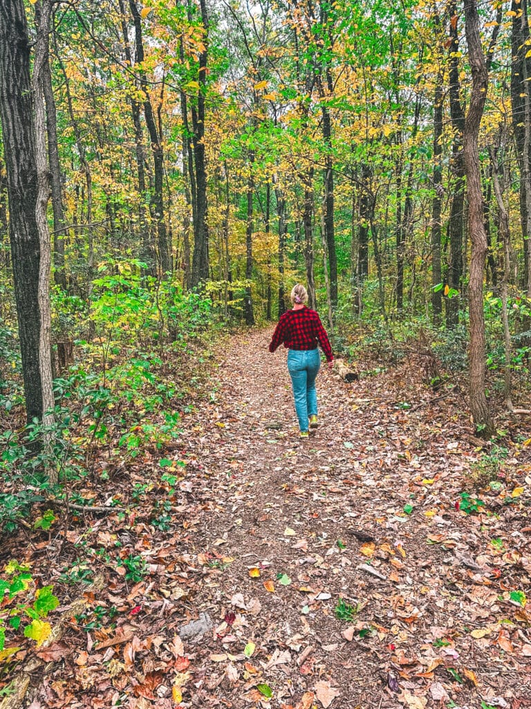 Person walking through a wooded trail surrounded by tall trees and early fall color at Welsh Mountain Nature Preserve