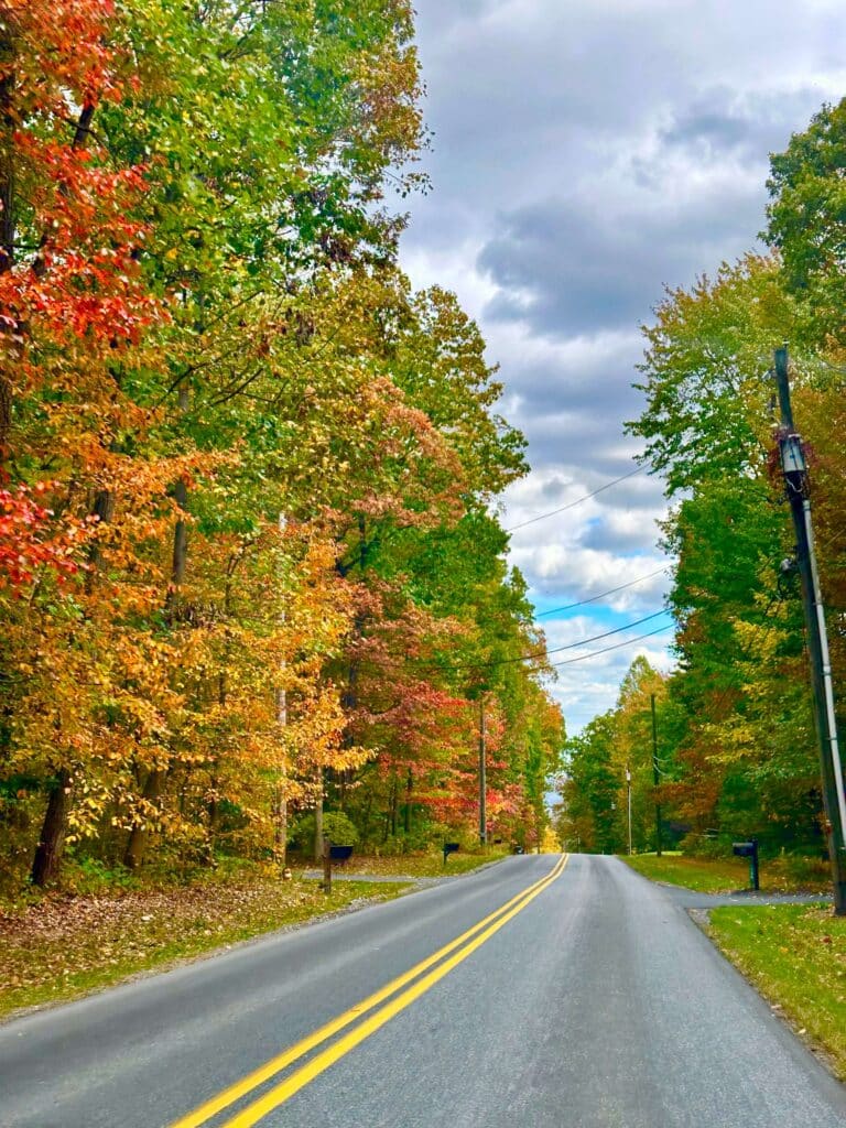 Scenic road lined with colorful fall foliage under a partly cloudy sky.