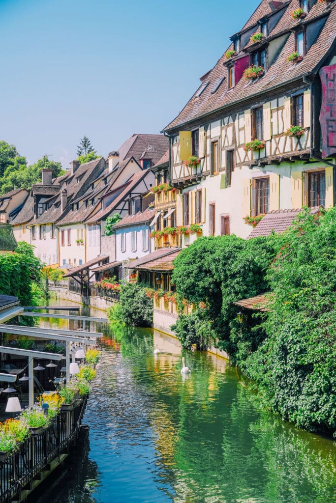 Lush green garden and timbered houses beside the canal in Petite Venise, Colmar