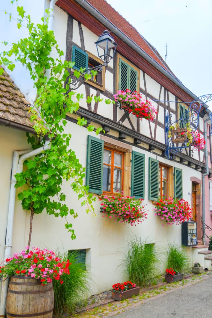 White house with red shutters and lush flower boxes in Eguisheim.