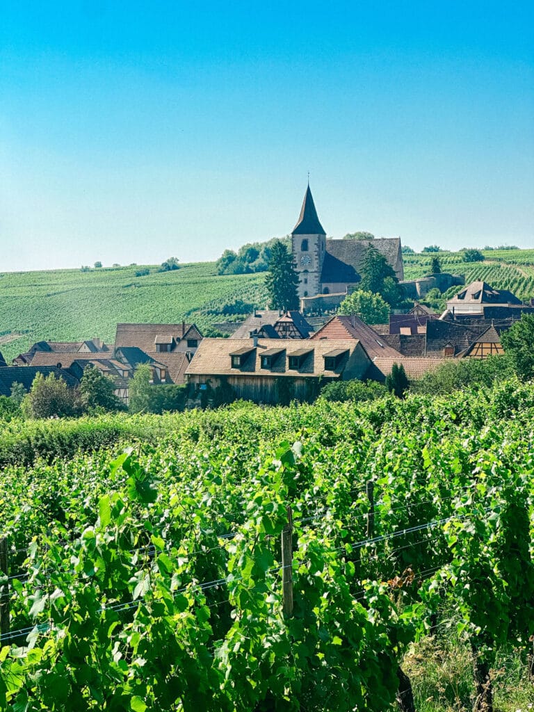 Leafy green vineyards framing a small village on the Alsace Wine Route