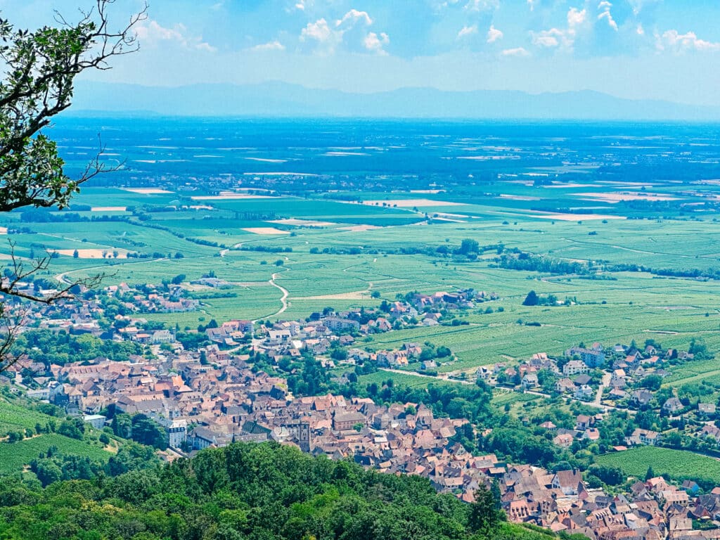 Panoramic view over the Alsace countryside from the ridge near the Three Castles of Ribeauvillé