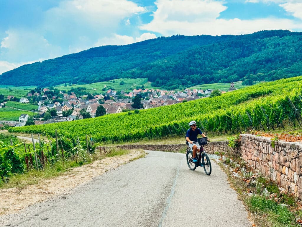 Cyclist riding on a country road with vineyard views near Riquewihr