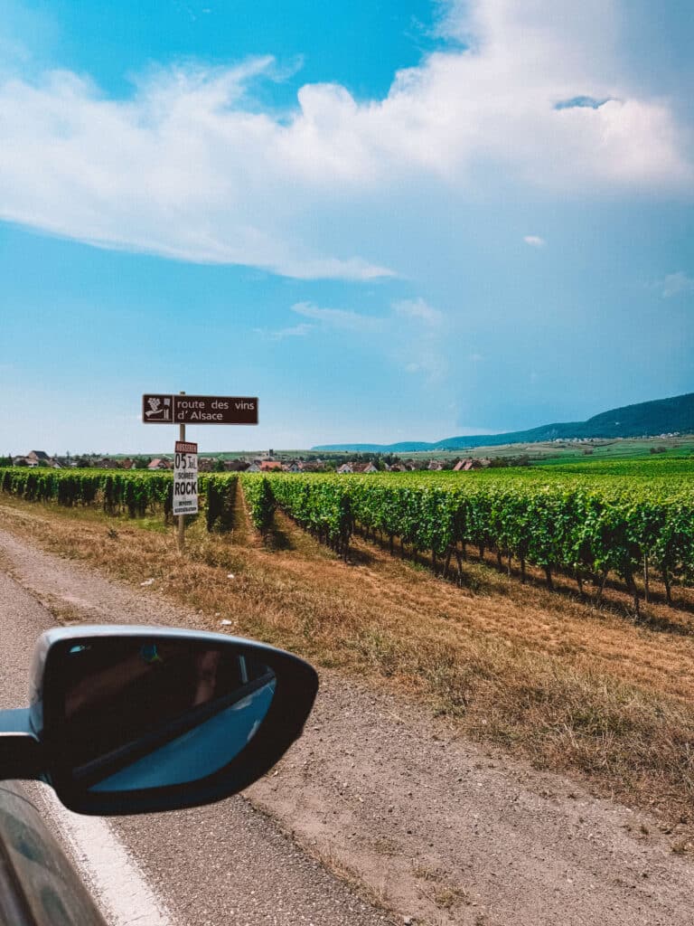 View from a car window driving along the Alsace Wine Route, passing a vineyard sign on a sunny day.