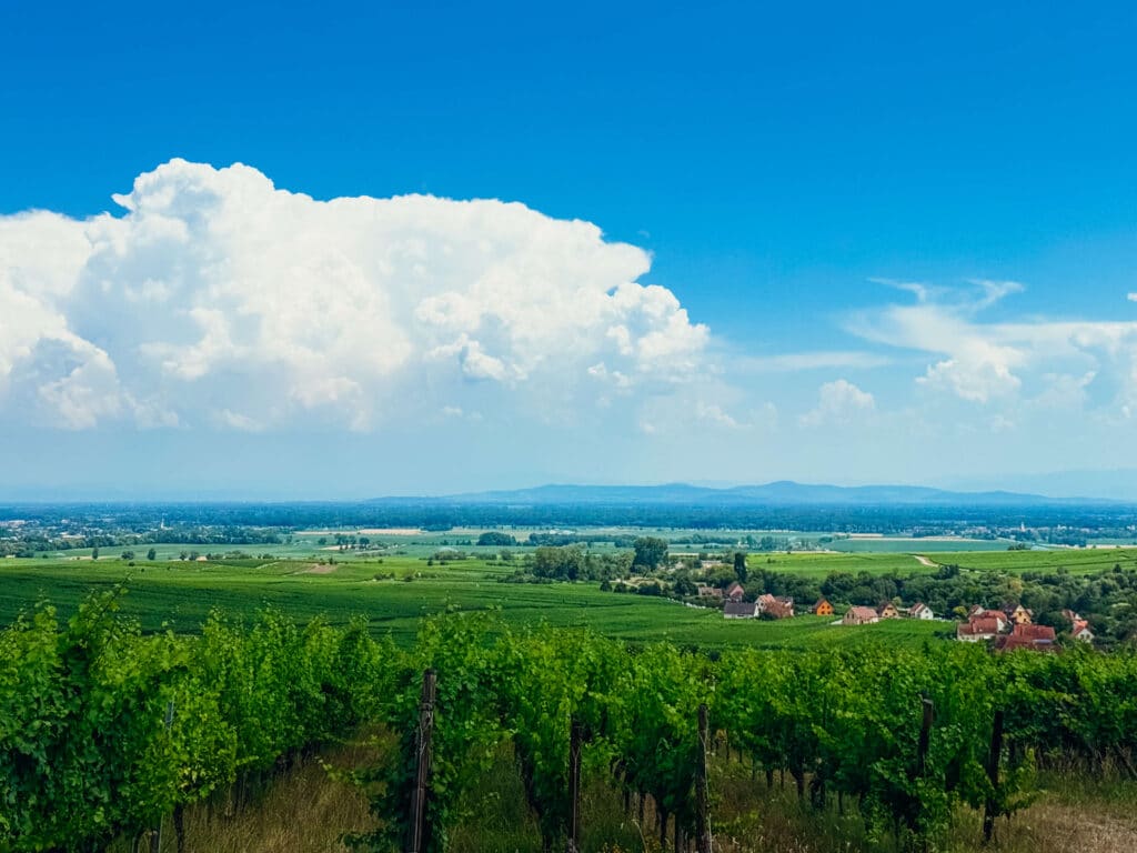 Rolling vineyard hills with a patch of white clouds overhead in Alsace
