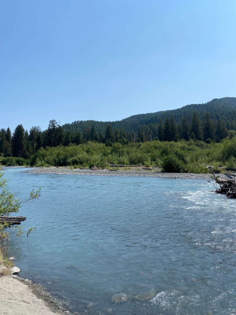 View of the Hoh River under a blue sky, with pine-covered hills in the distance.