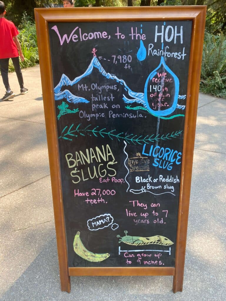 A welcome signboard outside the Hoh Rainforest Visitor Center featuring hand-drawn illustrations, including a banana slug and park information.