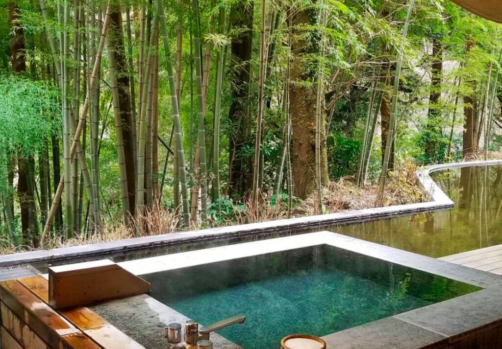 Kinotake Tonosawa Private Hot Spring