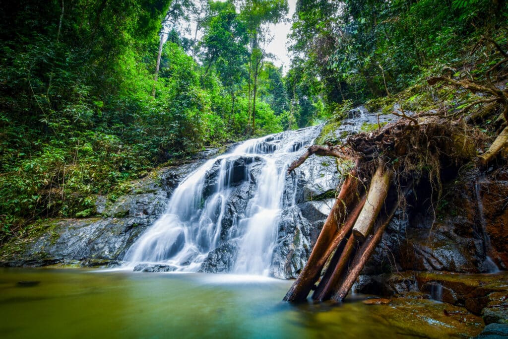Tropical waterfall surrounded by dense jungle, cascading over smooth rocks in southern Thailand.
(Unsplash photographer credit: Helena Pfisterer)