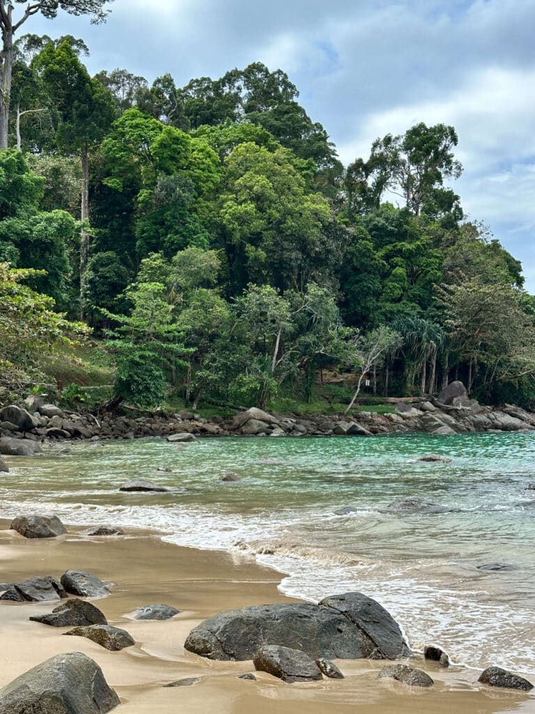View of the Khao Lak–Lam Ru coastline with golden sand, boulders, and dense rainforest along the shore