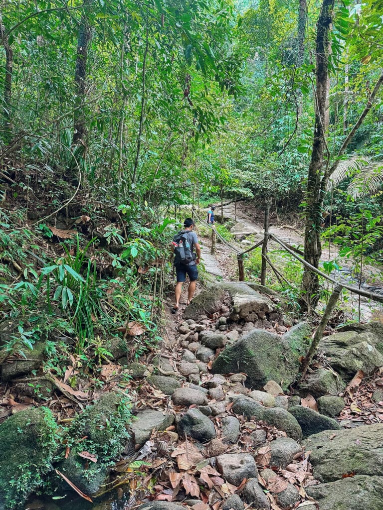 Rugged trail section with uneven stones and thick vegetation, showcasing the adventurous hike.